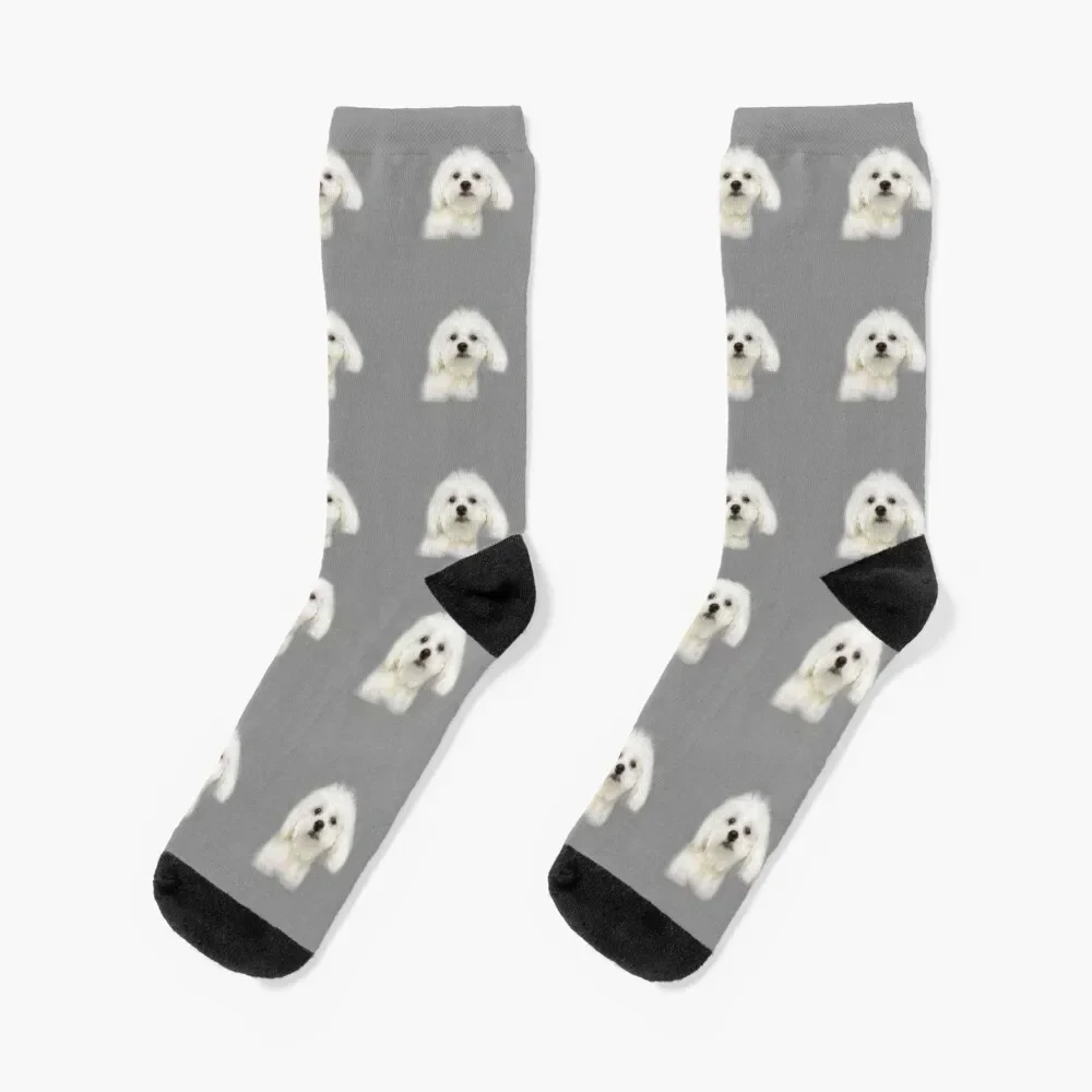 

Maltese puppy Socks christmass gift gifts gym Climbing Socks Women's Men's