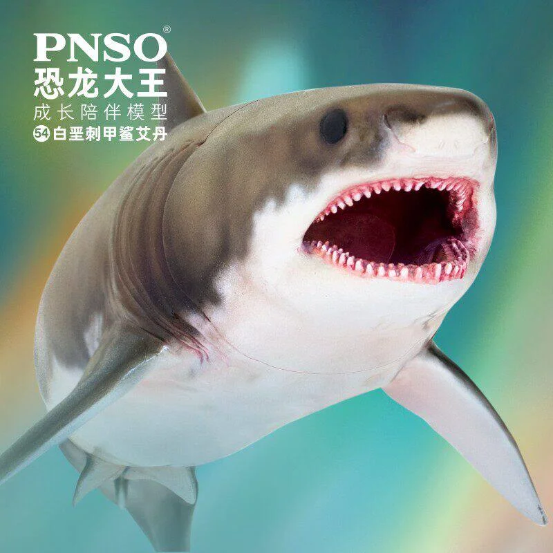 

In Stock, Shipped Within 24 HoursShark, Aidan, Growth, Companionship, Model, Collection, Gift