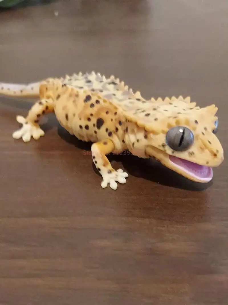 بانداي غاشابون خريطة بيولوجية كبيرة أبو بريص سحلية الأزرق اللسان جلود محاكاة المنقولة الحيوان عمل نموذج لجسم اللعب