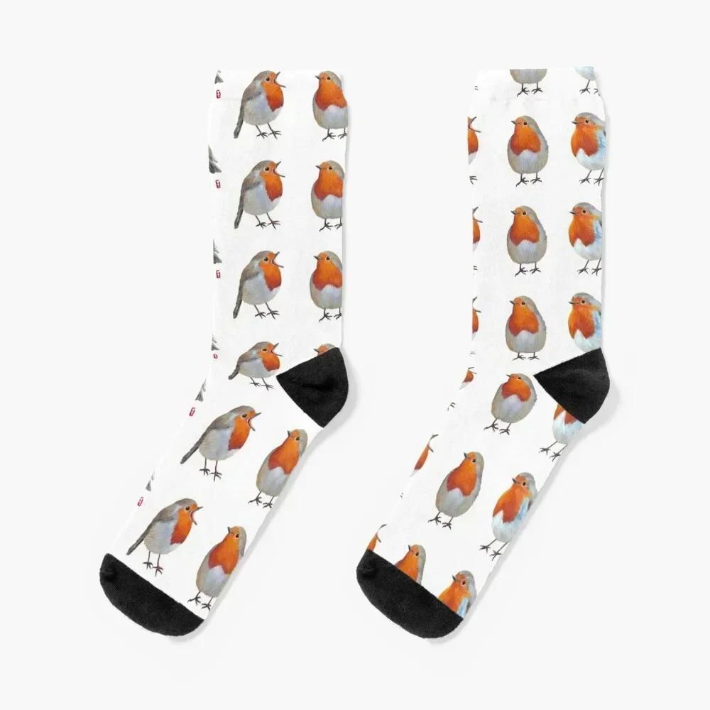 

European Robin Socks Children's Christmas Male Socks Women's