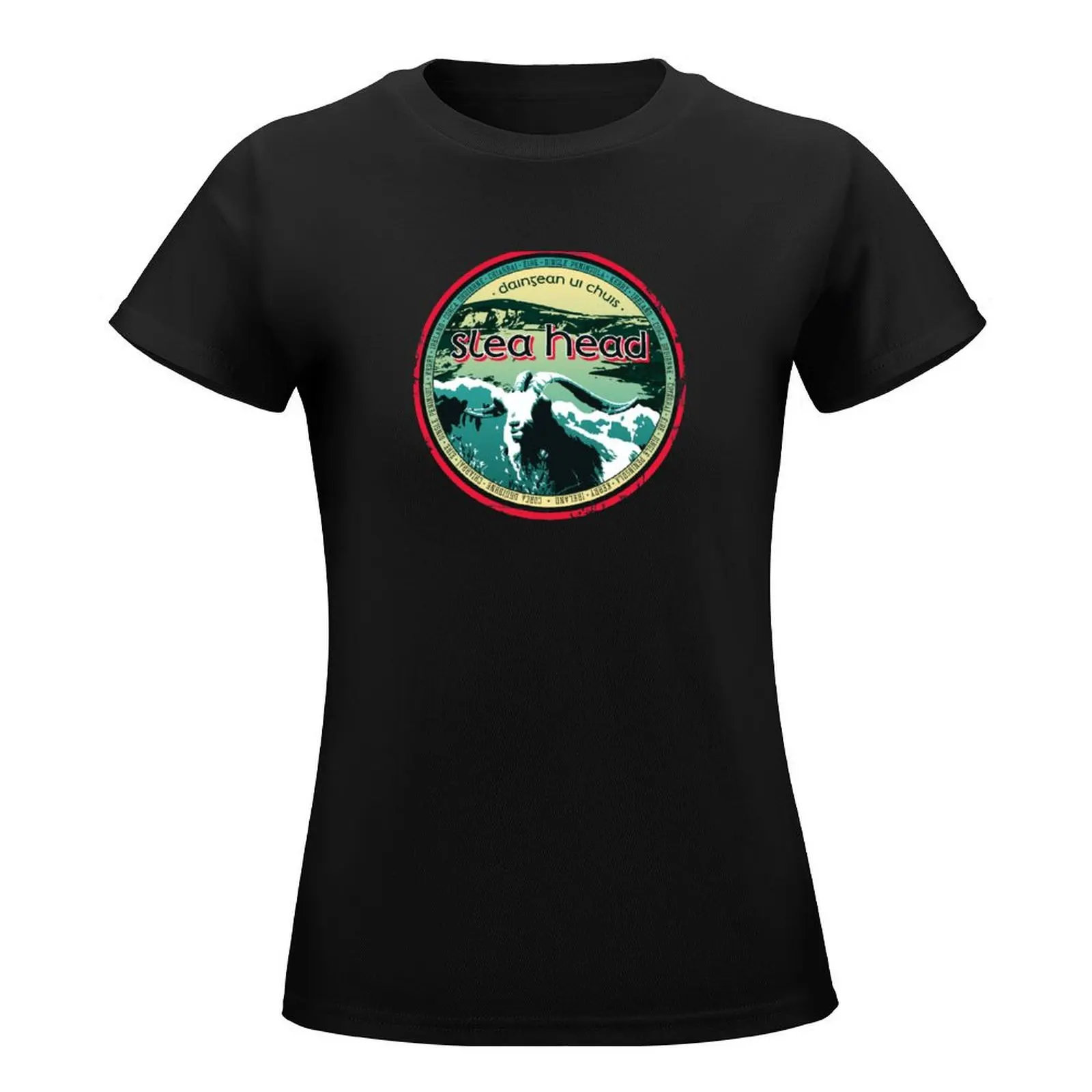 Ireland - Dingle Peninsula T-Shirt plus size tops shirts graphic tees oversized workout shirts for Women