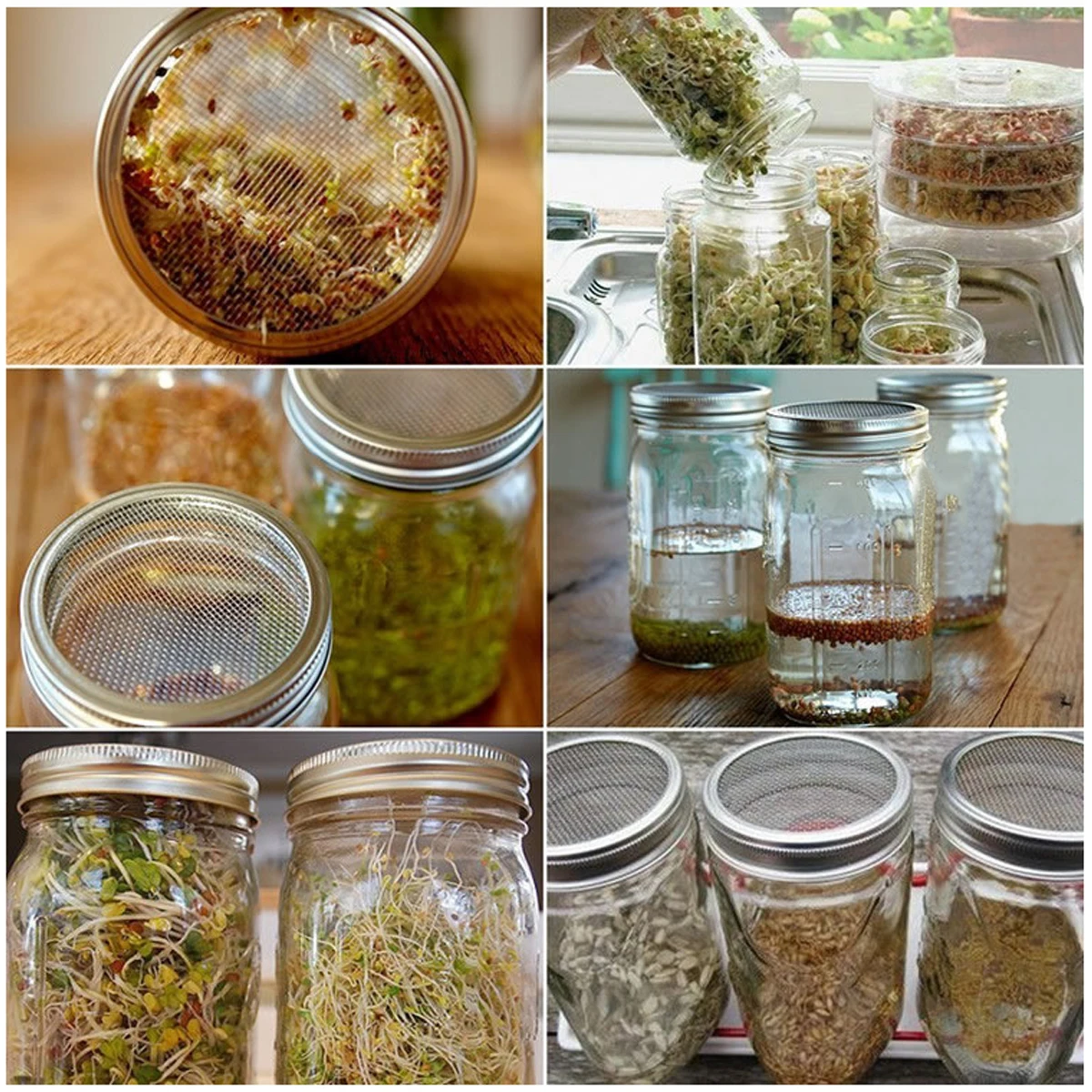 

4 pcs Stainless Steel Sprouting Lids Food Grade Sprout Cover Germination Cap Fine Mesh Screen for Home Kitchen