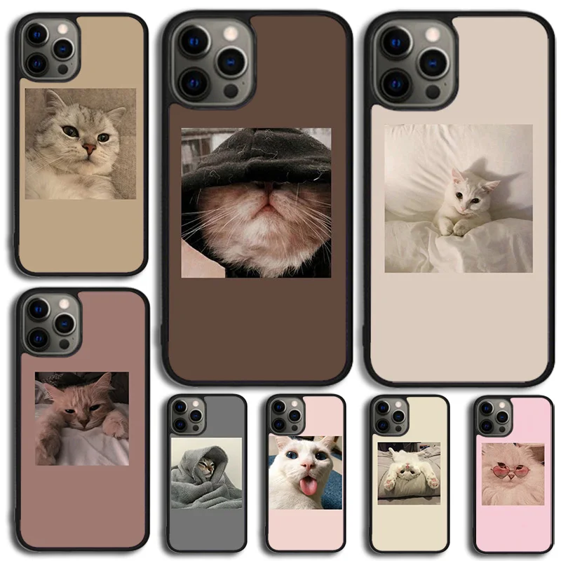 Cute Cats Aesthetic… - image