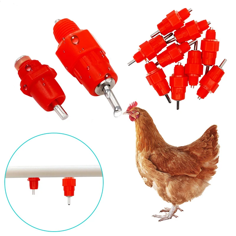 10/15/20/50 Pcs Huhn Tränke Nippel Trinker Wachtel Taube Tränke Nippel Automatische Wasser Frühling Typ Geflügel landwirtschaft Liefert – Detail 1