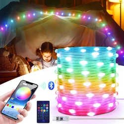 USB Dreamcolor RGBIC LED String Fairy Lights WS2812B Bluetooth DIY Music 5/10/20m Light Strip Chain Christmas Wedding Decoration