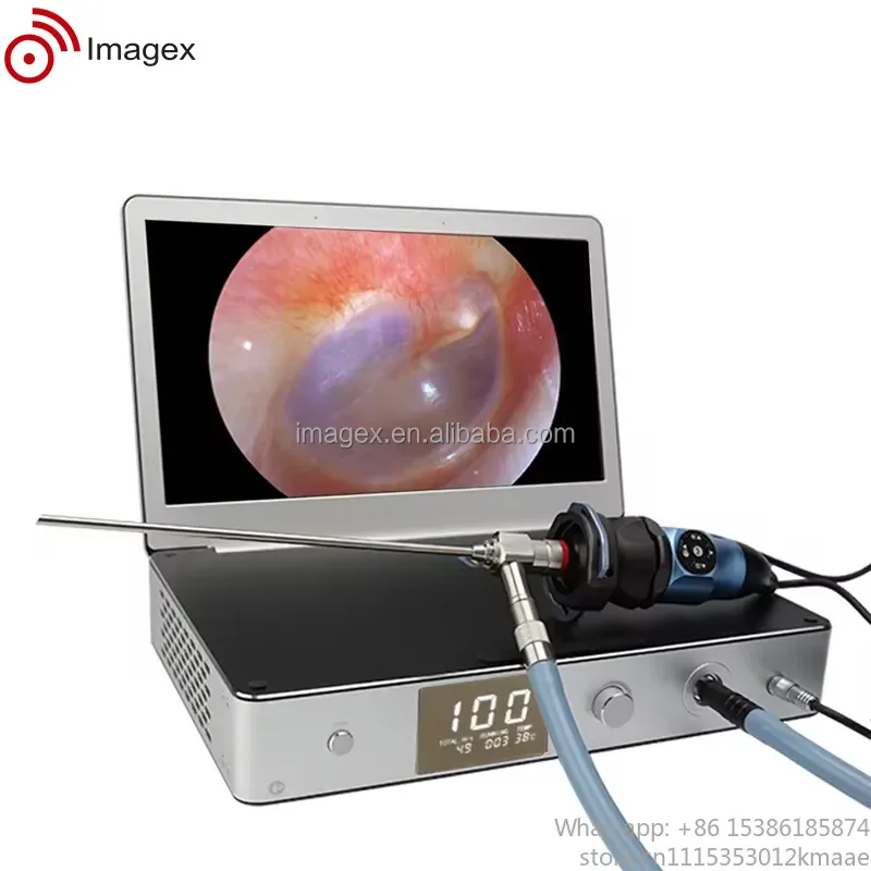 1000S All-in-One Medical Endoscopic Camera System for Hospital Use