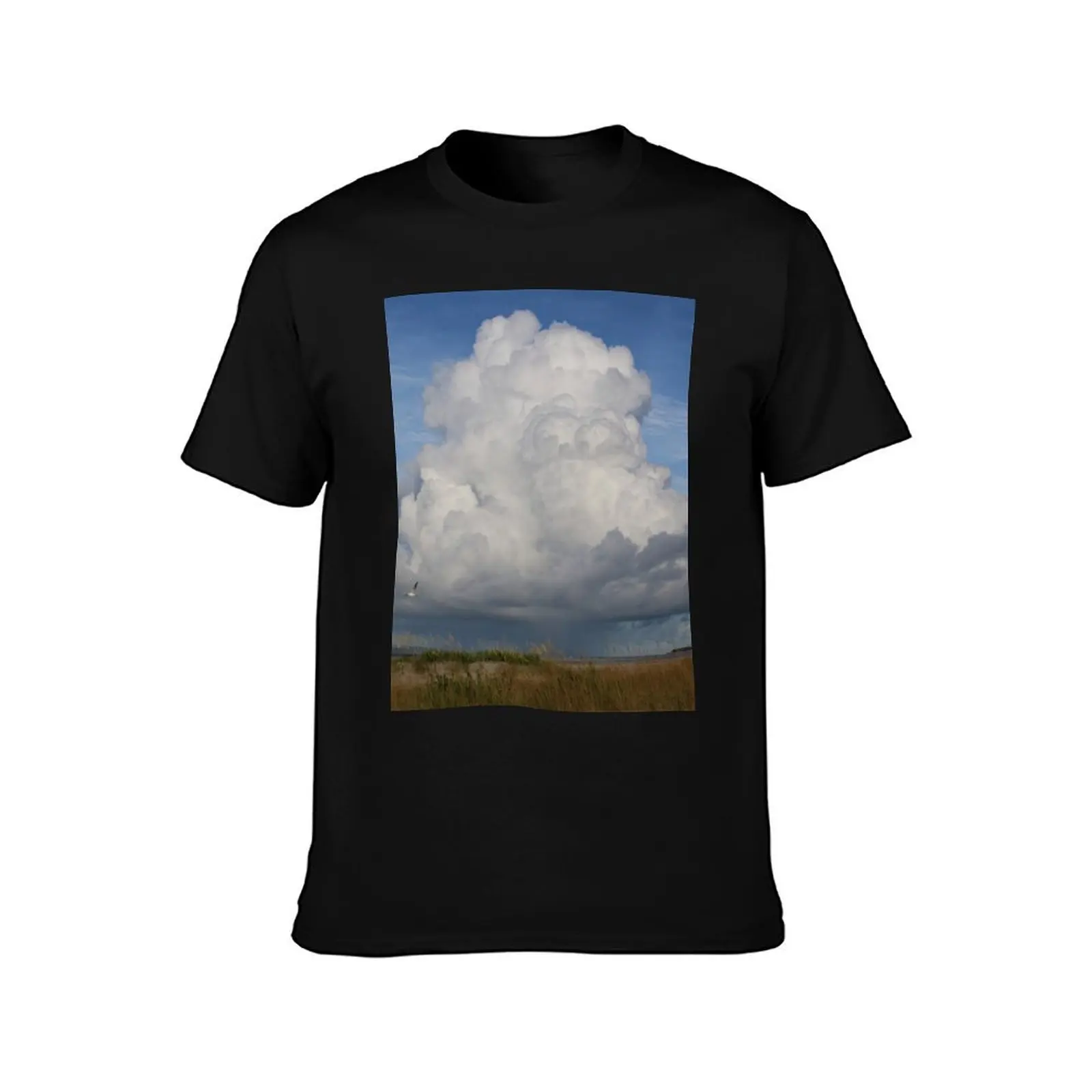 Soaring T-Shirt oversized t shirt heavyweights mens t shirts top quality