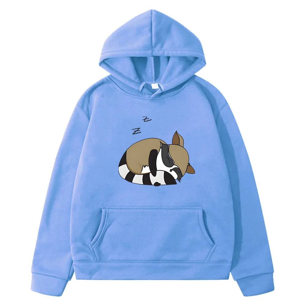 Little Raccoon Kids Clothes for Girls/Boys Cartoon Harajuku Long-sleeved Japanese Anime Sweatshirts Fleece Hoodies Regular Fit