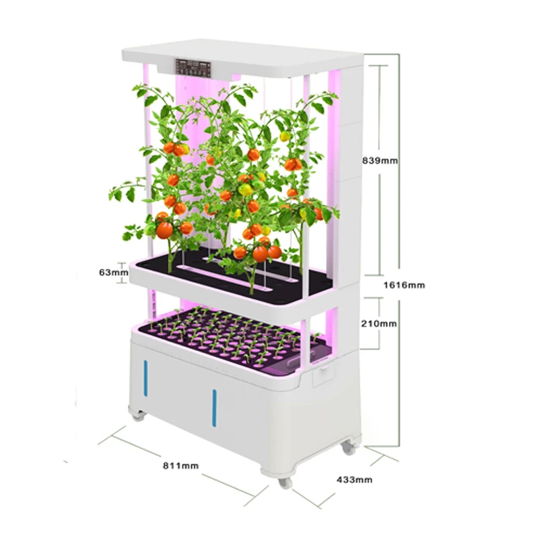 Indoor Smart Low Cost Hydroponics Vertical Garden Hydroponic Plant  Vegetable Grow Systems Kit  CE view 5