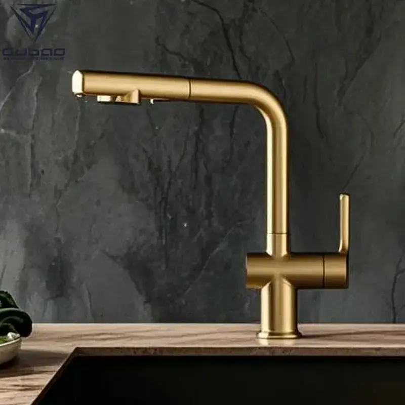 Brass single handle cold and hot mixer water filter kitchen tap with pull out spray