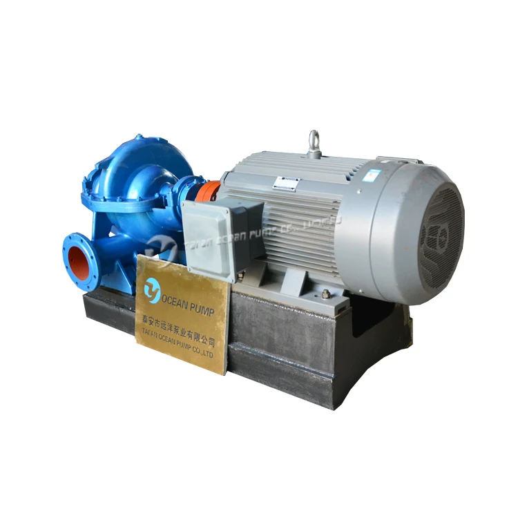 Electric Motor Powered Water Pump for Irrigation