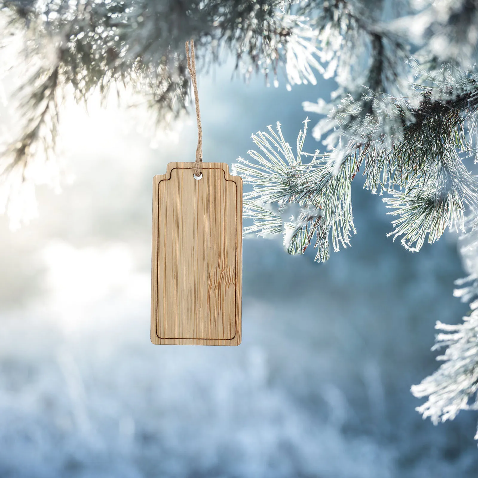 

10Pcs Bamboo Garden Tags Reusable Hanging Plant Markers Outdoor Garden Labels Flower Pot Tree Vegetable Plant Identification