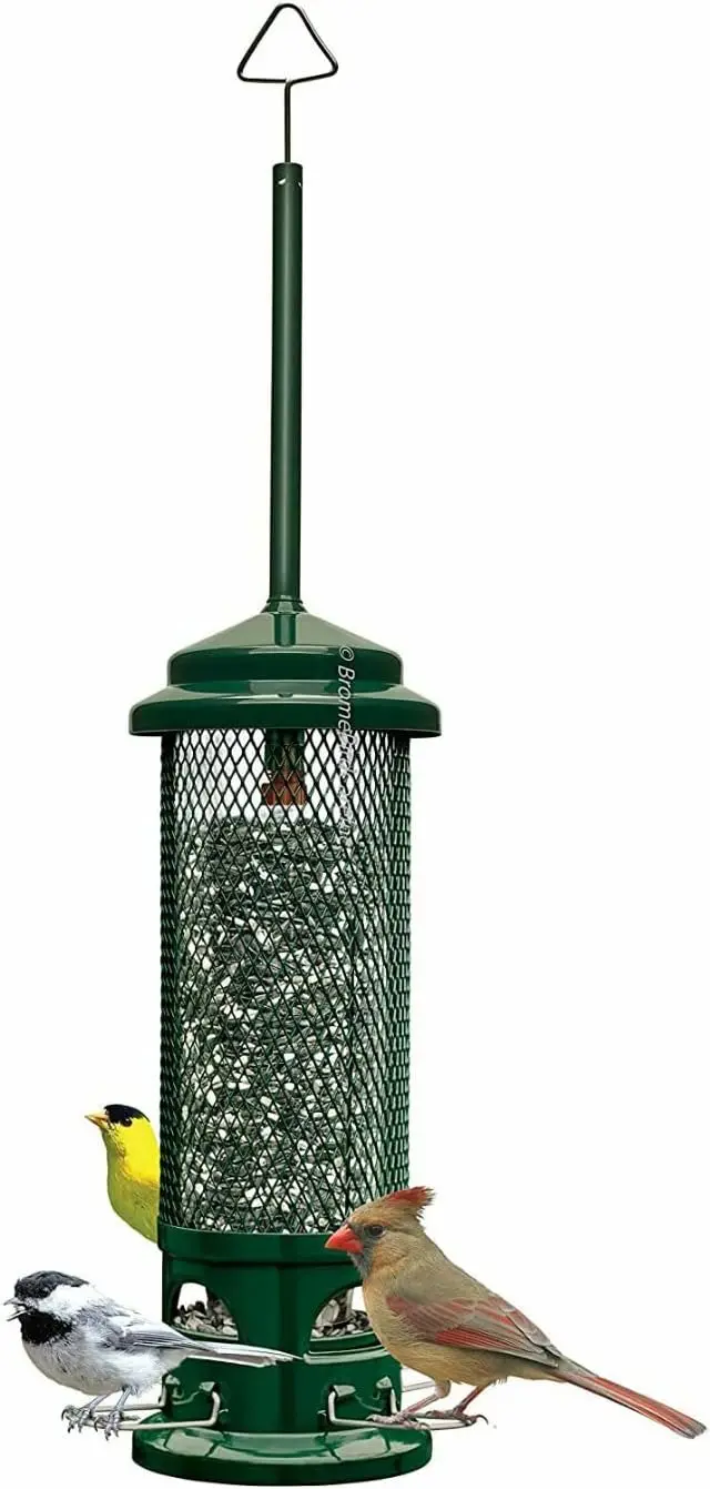 Squirrel Buster Legacy Squirrel-proof Bird Feeder w/4 Metal Perches, 2.6-pound Seed Capacity