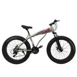 Low Rider Mini 24 26 29 Inch in Fat Tire Inch Frame Snow Mountain Bike Bicycle Fatbike