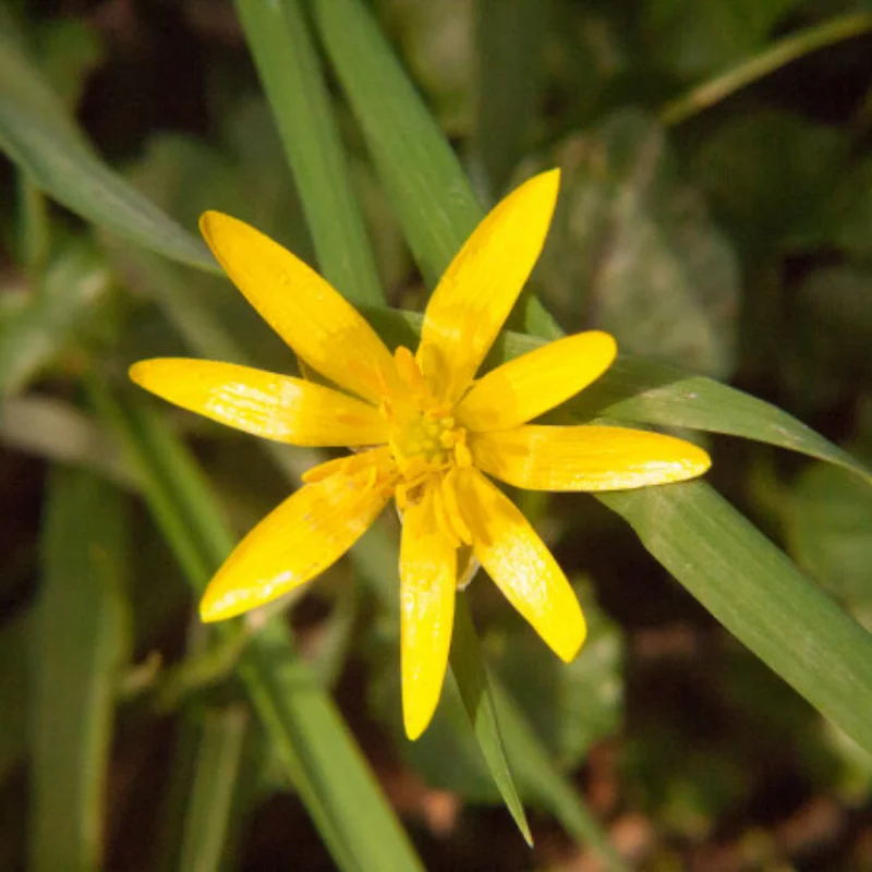 

Металлический передний и задний бампер для MN128 MN86 G500 с буксирным крюком 1/12, детали для обновления радиоуправляемого автомобиля, аксессуары