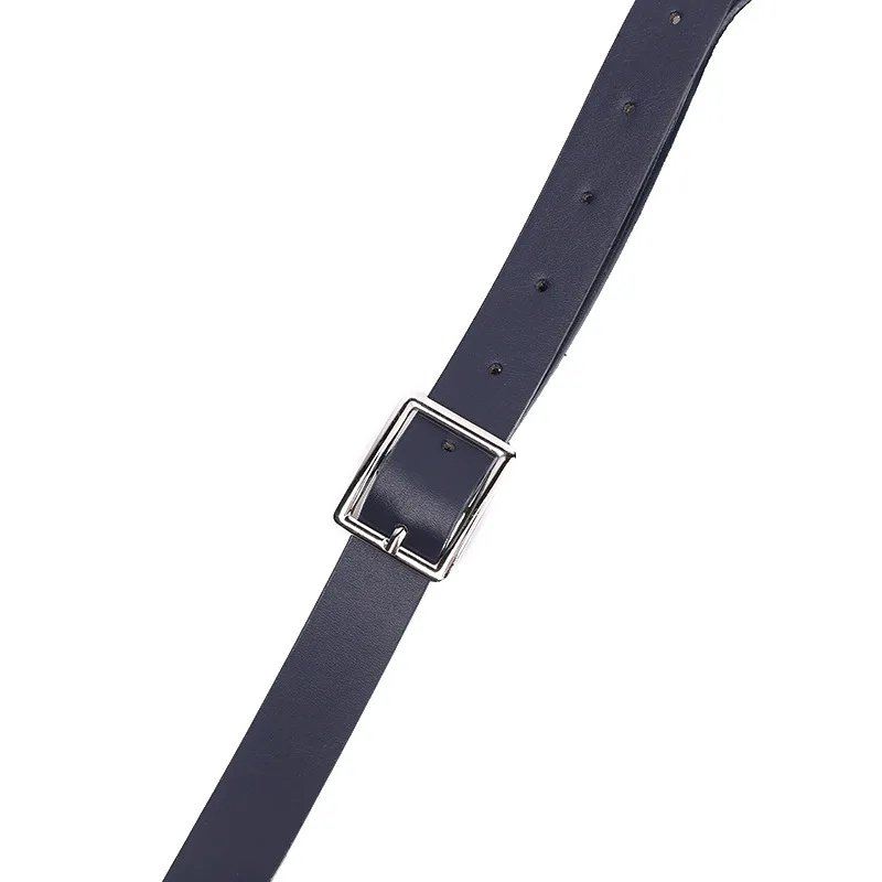 Zwei Stück Lokomotive Paket Neue Telefon Taschen Weibliche Umhängetasche Modische PU Gürtel Taille Tasche Trendy Umhängetasche – Detail 25