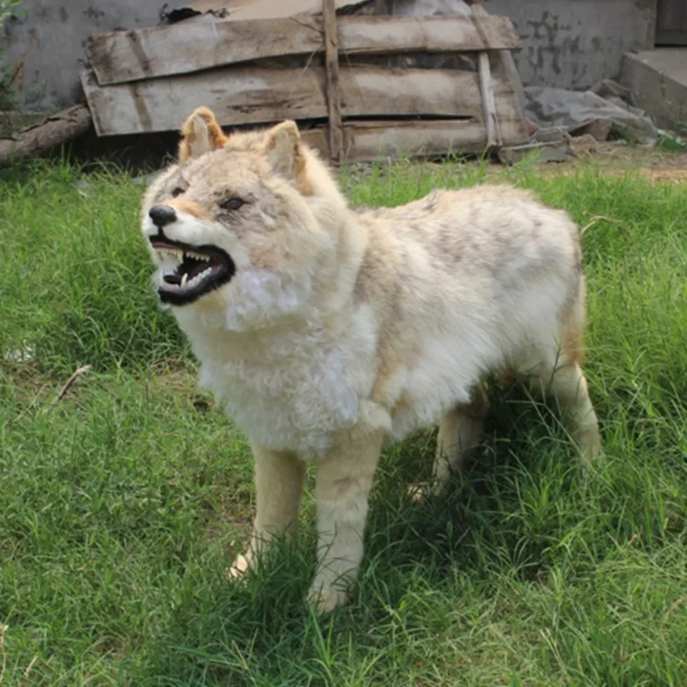 Teaching Equipment Photography Props Home Decoration Gifts Museum Simulation Wolf