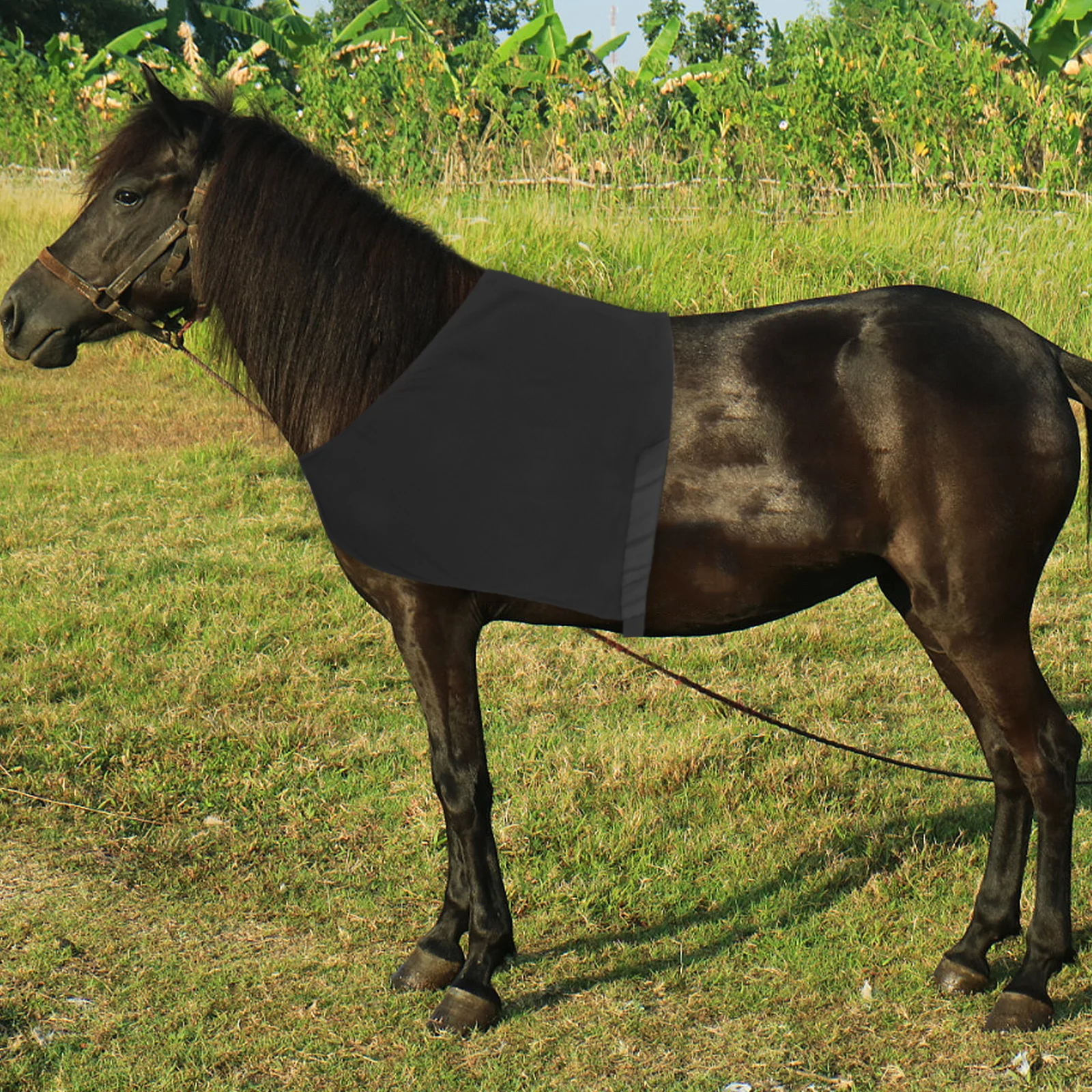 

Horse Shoulder Guard Elastic Spandex Fabric Breathable Protective Vest Anti-Rub Uv Shield for Outdoor Training Riding Chest