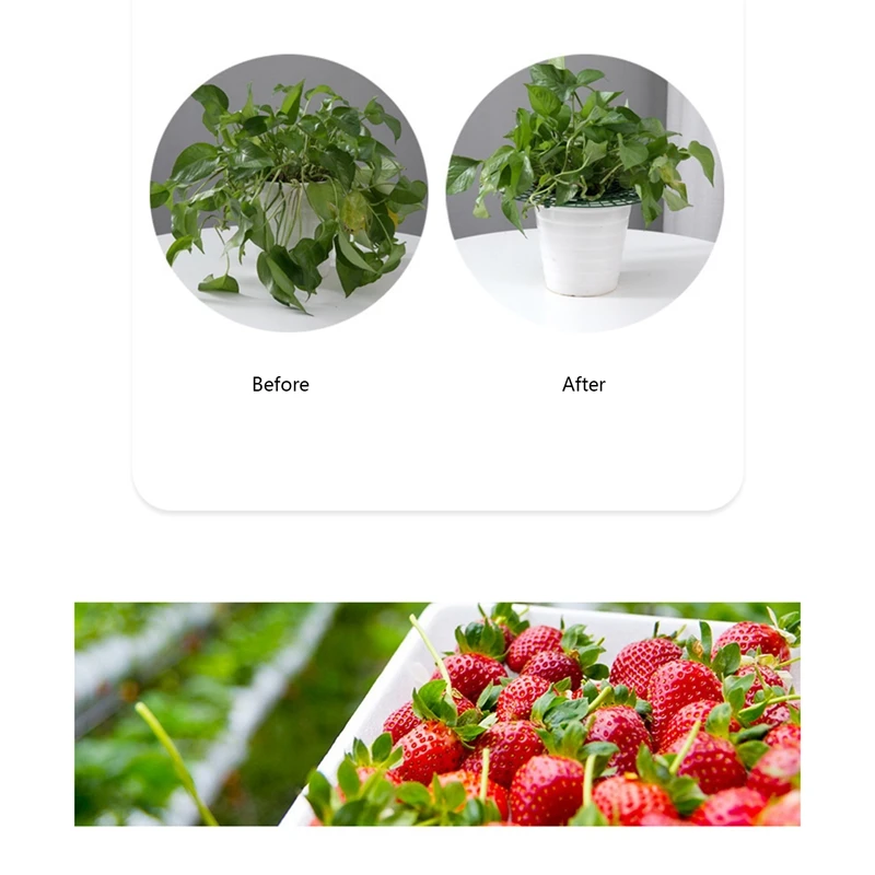 Strawberry Stand Frame Holder Balcony Planting Rack Climbing Vine Pillar Gardening Fruit Plant Flower Stand