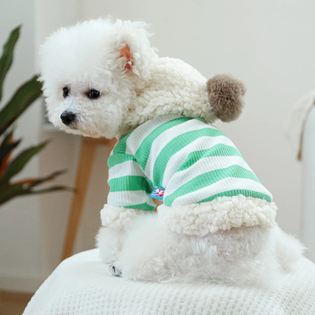 Pet Striped Hooded Sweatshirt Dog Fur Ball Lamb Wool Hat Clothes Autumn and Winter New Striped Sweatshirt Designer Dog Clothes