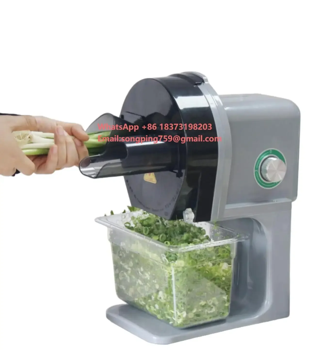 

Commercial Stainless Steel Multi-Functional Garlic Spring Onion Chopper Machine Vegetable Cutter with Motor As Core Component