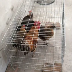 DIY Assembled large stackable Thick wire duck chicken breeding hatch antirust galvanized pet bird bird cage nest for home animal