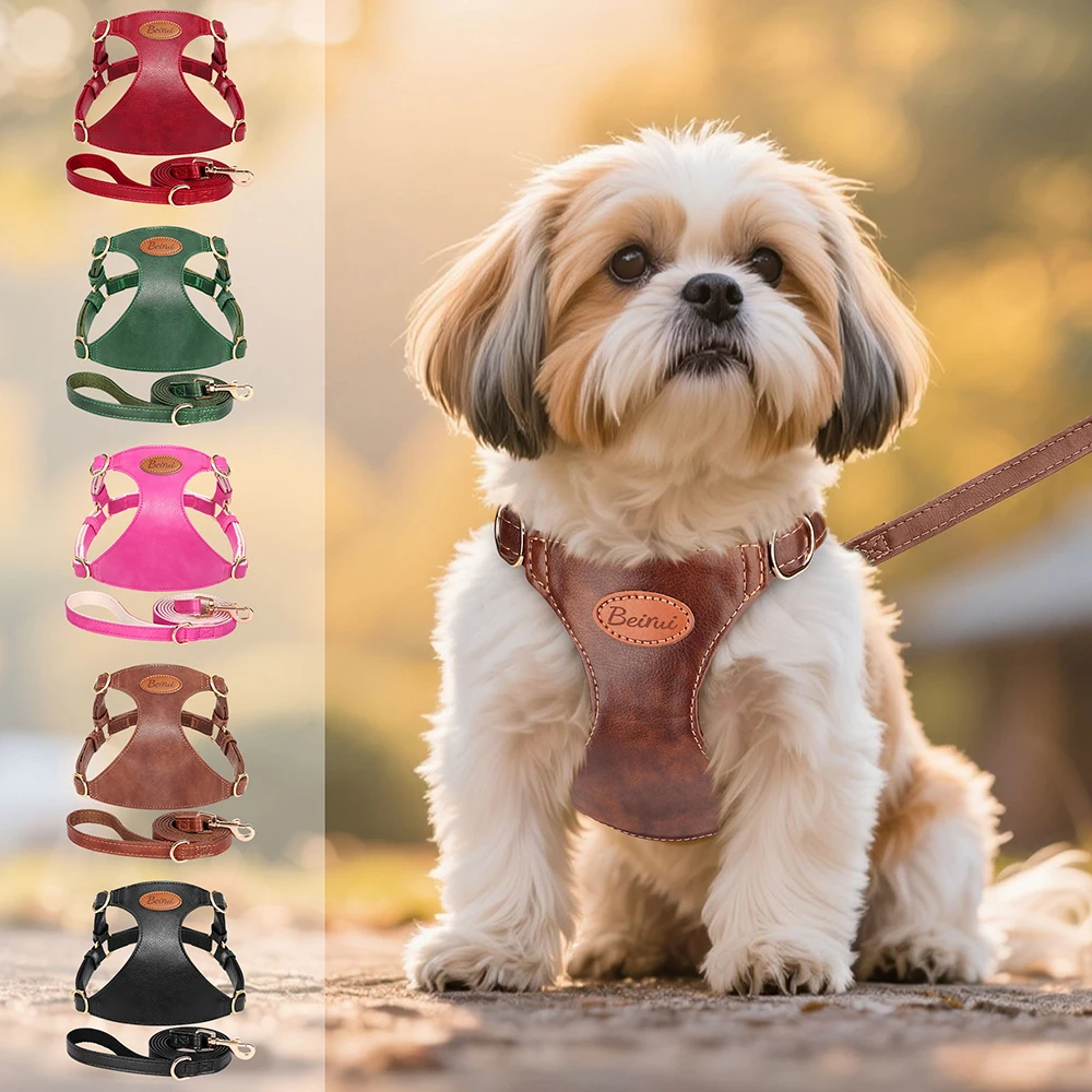 Cute Step-In PU Leather Dog Harness & Leash Set Adjustable Pet Puppy Walking Vest Lead for Small Medium Dogs