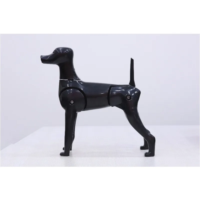

4-in-1 Dog Full Body Mannequin New Dog Model RMD-6101-KIT Bichon Model Dog