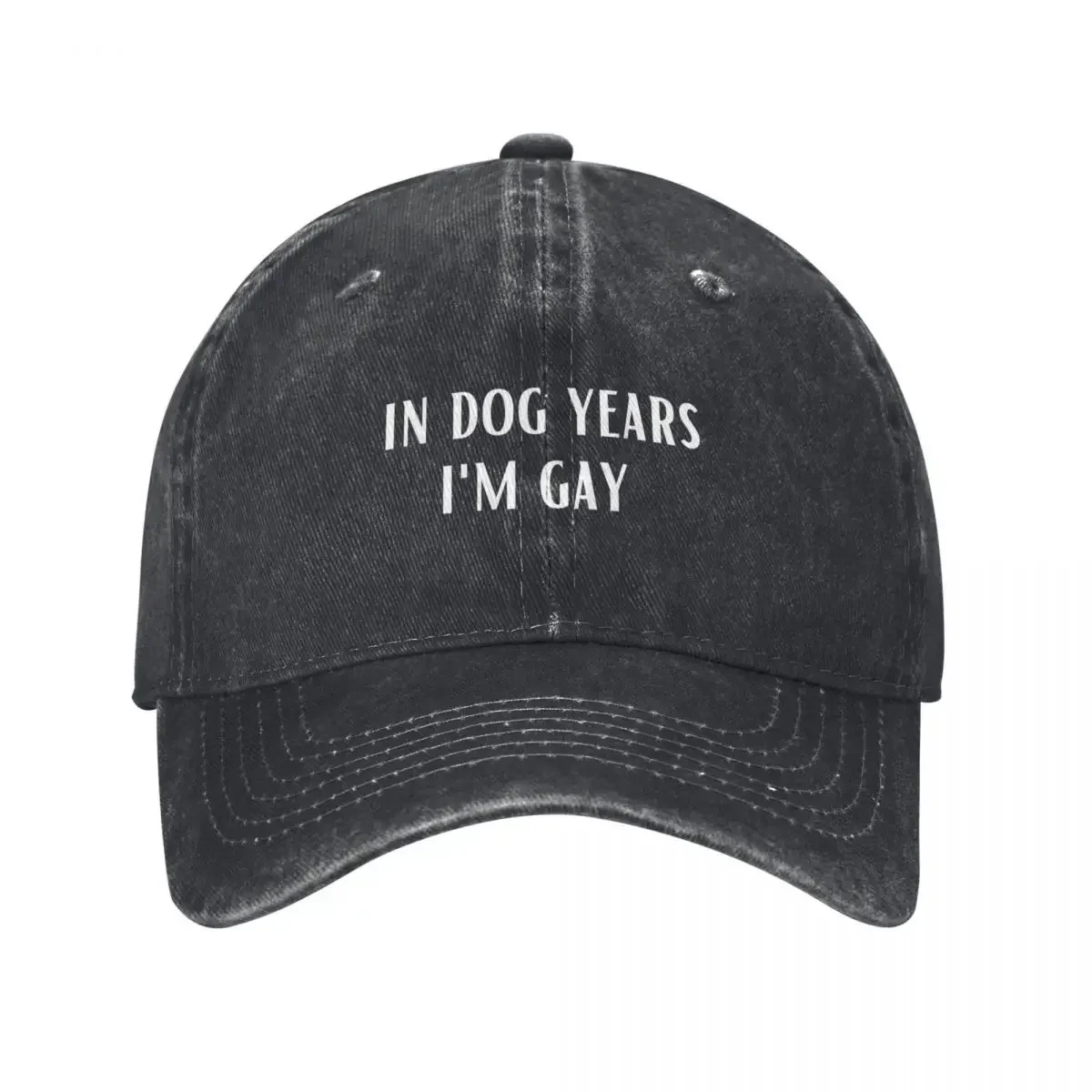 In Dog Years Im Gay Funny Quotes Baseball Cap Golf Hat Man Luxury Hat Women Caps Men's