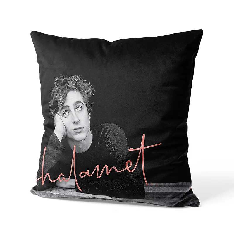 Aertemisi 18'' x 18'' Timothee Chalamet Throw Pillow Cushion Covers Cases Pillowcases 45cm x 45cm