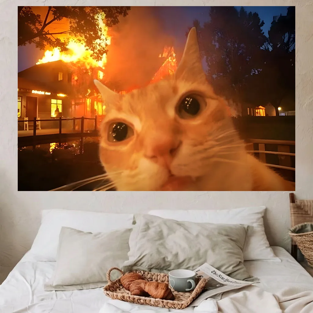 Funny Meme Cat Wall Tapestry Orange Cat Selfie Burning House Fire Scene Meme Print Wall Hanging Dorm Bedroom Aesthetic Home