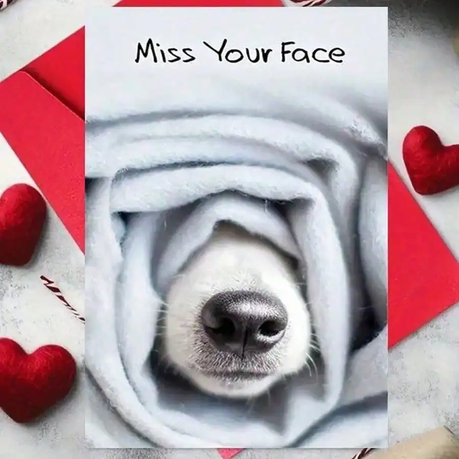 1pc, Cute Missing Card With Envelope(11cm*16cm), Suitable For Giving To Friend, Family, Lover, Parent, Mourning Card