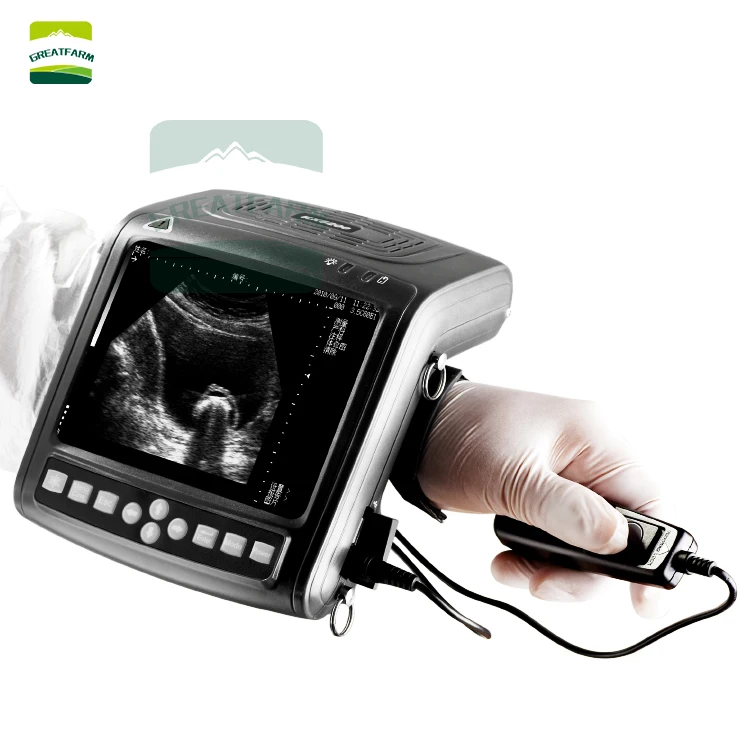 Best Clearest Waterproof Ultrasound Scanner Machine For Cattle Horse Pig Dog Cat