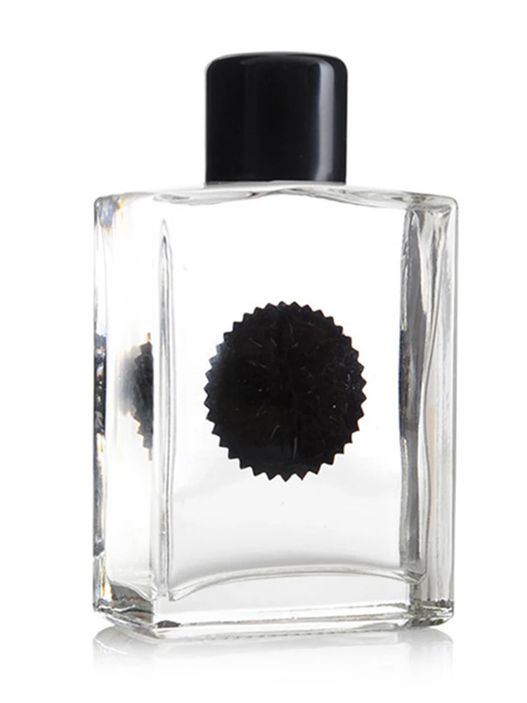 Ferrofluid Magnetic Fluid Display liquido divertenti giocattoli antistress scienza decompressione giocattolo antistress