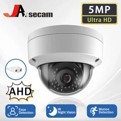 H.265 5MP CCTV güvenlik kamerası 5MP 5MP HD kamera hareket yüz-algılama IR Cut gece görüş büyük Dome AHD kamera