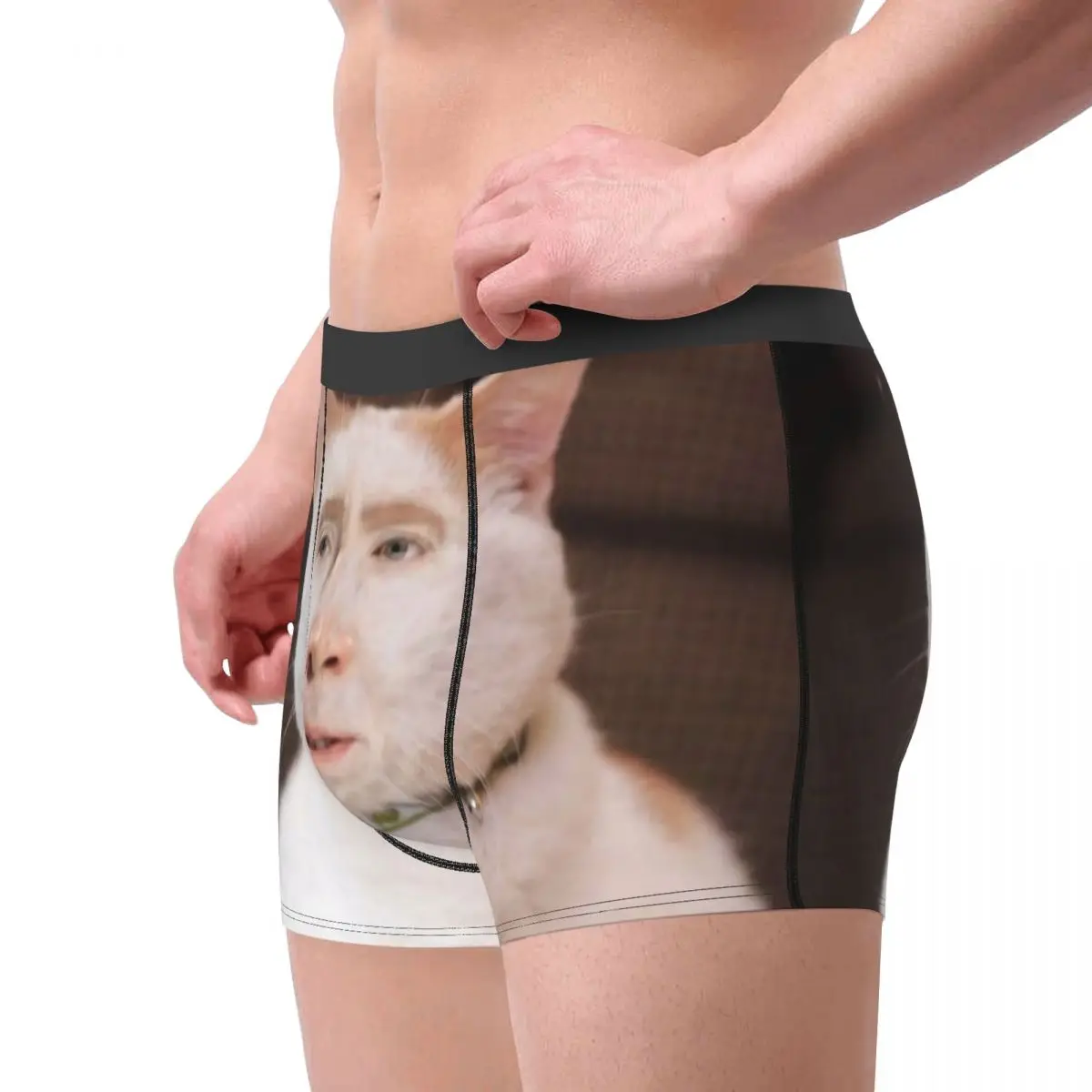 Nicolas Cage Cat Meme Boxer Shorts For Homme 3D Print Underwear Panties Briefs Soft Underpants