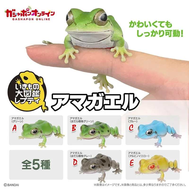 

Brand New Genuine Bandai Frog Japanese Tree Frog Northeastern Tree Frog Animal Model Ornaments Hand Model Ready in Stock