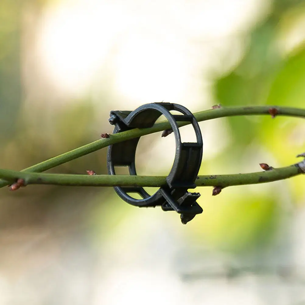

50Pcs Plastic Plant Clip Strong Stem Support Clamp for Orchid Tomato Vine Flower Vegetable Grafting Climbing Plants Garden Tool