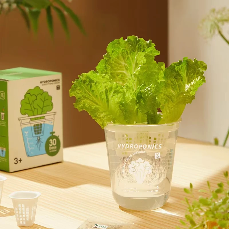 

Крытый горшок для садоводства Умный комплект гидропоники Домашняя система