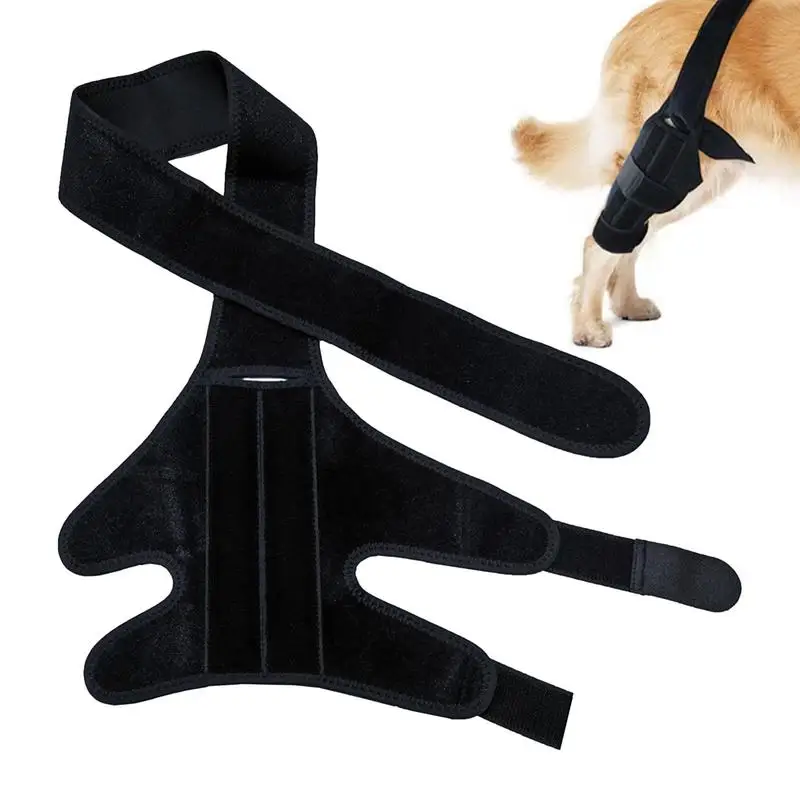 Dog Back Leg Brace Dog Knee Brace Adjustable Pet Leg Support Dog Rear Legs  Pet Leg Protector Dogs Injury Recovery Pet Supplies