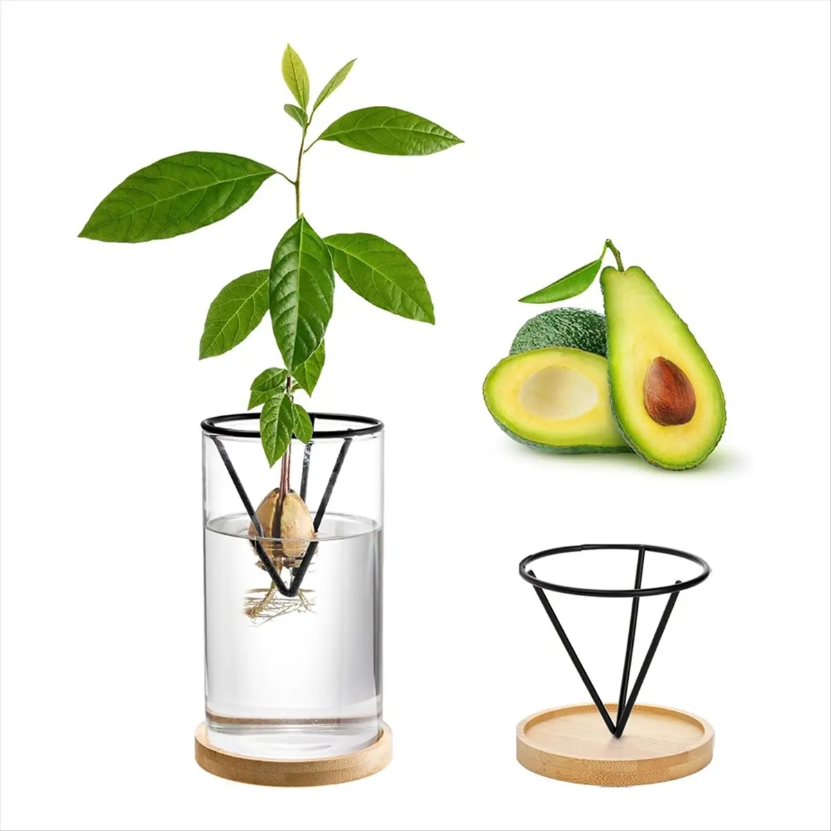 ●3 Pack Avocado Tree Growing Kits, Glass Avocado Seed Vase with Triangle Bracket and Bamboo Base, Sprouting Plant Pot-ABFB