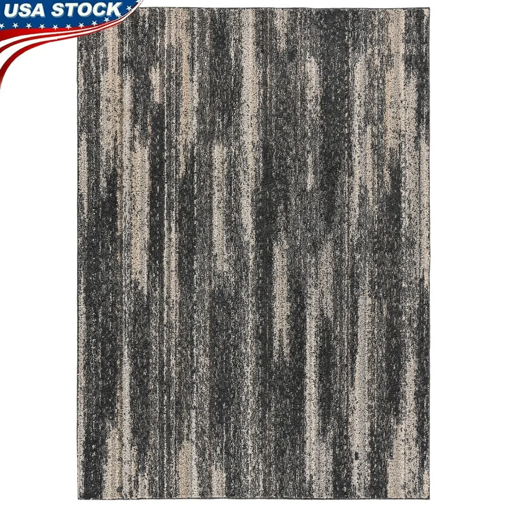 

Durable Stain Resistant Indoor Area Rug 5ft x 7ft Abstract Pattern Contemporary Design Easy Maintenance Living Room Bedroom