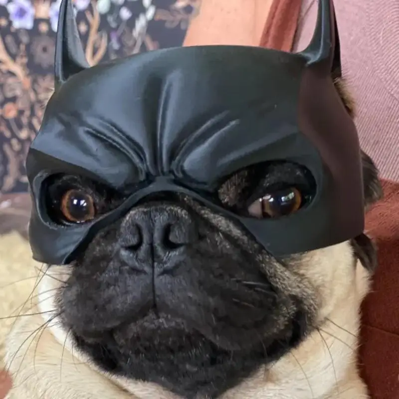 Hund Fledermaus Cool Man Maske Hund Avenger Niedliche Fledermaus Superheld Spielzeug Halloween Kostüm Für Hunde Heimtierbedarf