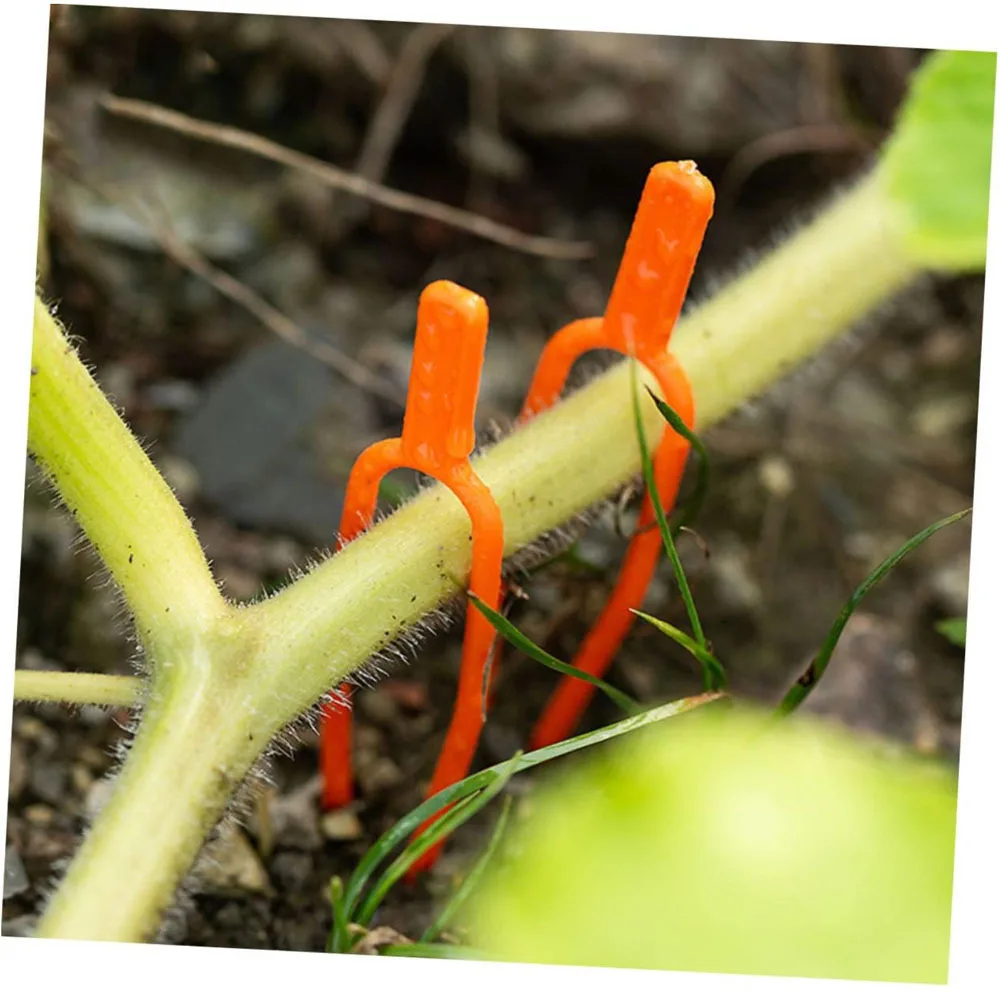 50 PCS Plant Ground Anchor Clips for Strawberry Tomato Vine Smooth No Burrs Sturdy Plant Staple Pegs Watermelon Planting Fork