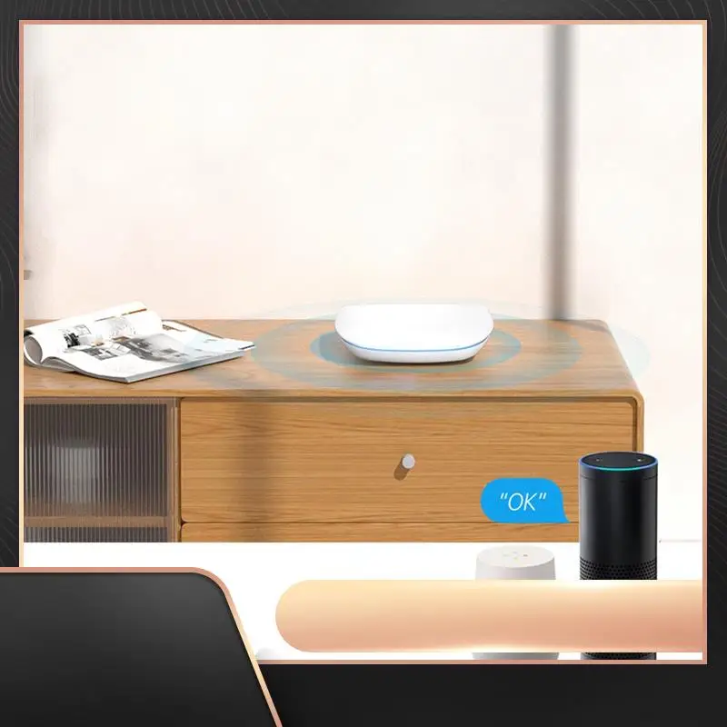 

Многомодельный концентратор Smart Home Bridge, беспроводной пульт дистанционного управления, подходит для Alexa и Google Home-N34R