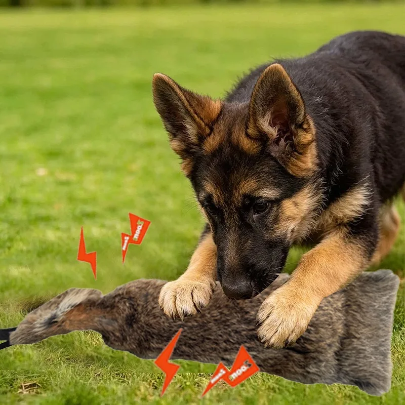 JUSTINLAU Kaninchenfell-Quietschspielzeug für Hunde, Beißspielzeug für Interaktives Outdoor-Spiel, Plüsch-Soundspielzeug für Mittelgroße & Große Hunde – Detail 13
