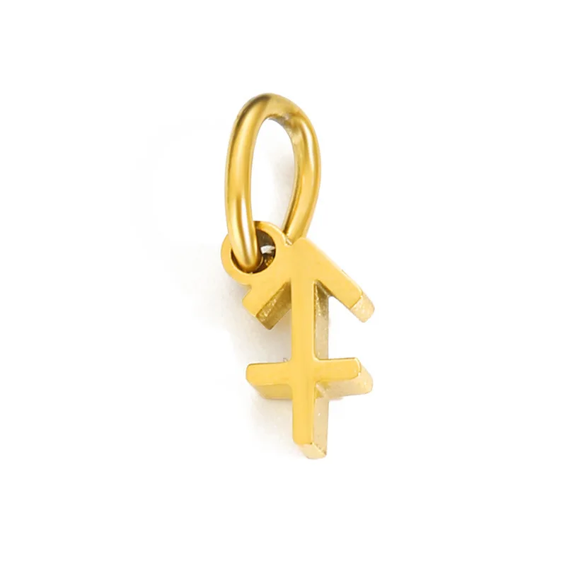 CARLIDANA Wasserdicht 316L Edelstahl 12 Sternzeichen Charms für Halskette oder Armbänder Gold Farbe Dropshipping Großhandel