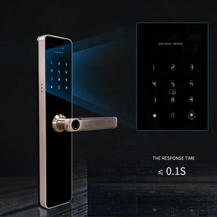 Anti-theft Smart Locks Factory Wholesale Door Hardware Stainless Steel 304  Handle Lock Electronic Intelligent