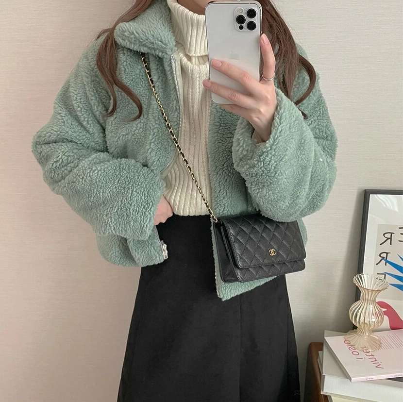 Women Korean Style Lapel Lamb Wool Thickened Warm Short Jackets Autumn Winter Solid Color Versatile Casual Straight Zipper Coats