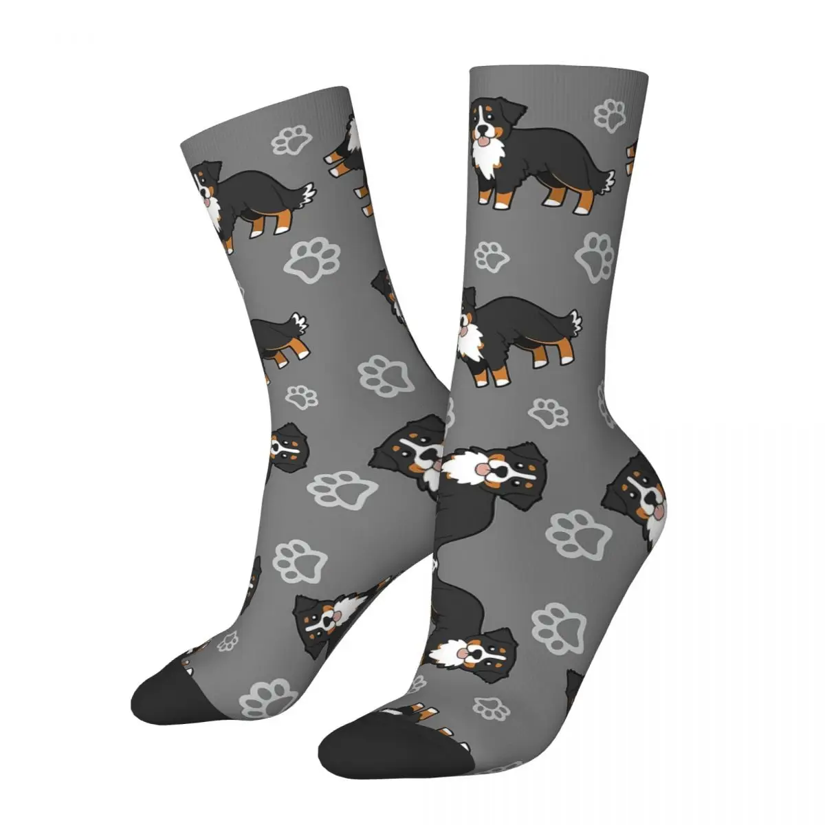 Bernese Mountain Dog Socks Harajuku High Quality Stockings All Season Long Socks Accessories for Unisex Birthday Present